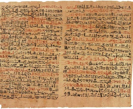 Ancient Egyptian Papyrus Reveals Odd Cure for Ingrown Eyelashes – Bull Fat, Bat and Donkey Blood