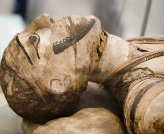 Egyptian mummy. Credit: markrhhiggins / Adobe Stock