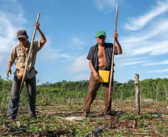 Traditional farmers Ramón Nonato Tec Poot, Xuxcab, Yucatán.	Source: International Maize and Wheat Improvement Center/CC BY-NC 2.0 Deed)