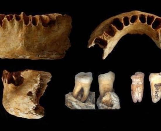 Ancient Human Fossils found in China - Zhirendong cave