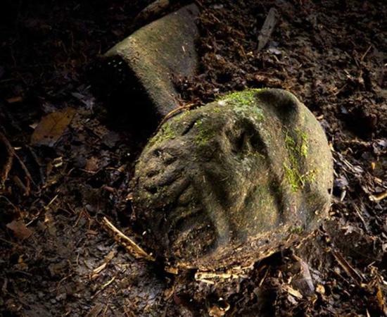 Explorers That Found Ancient Lost City of the Monkey God Almost Lose Their Faces to Flesh-Eating Parasite