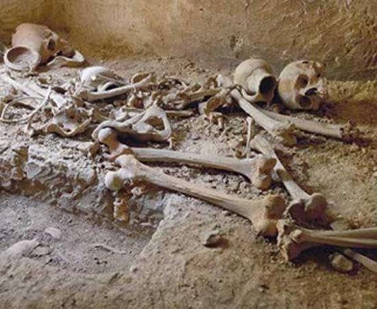 Remains of Ancient Maltese Islanders Discovered in Catacombs Beneath a School