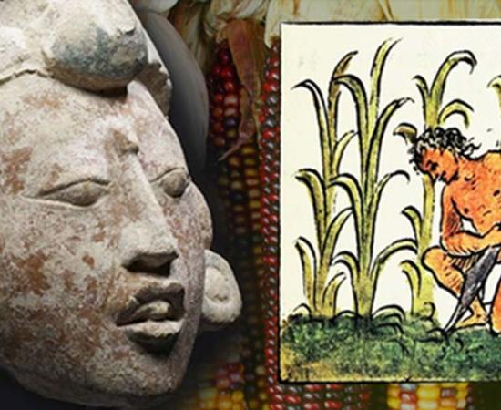 Remembering the Future: How Ancient Maya Agronomists Changed the Modern World