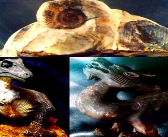 Fossil, dinosaur and dragon montage (Legendz Collective)