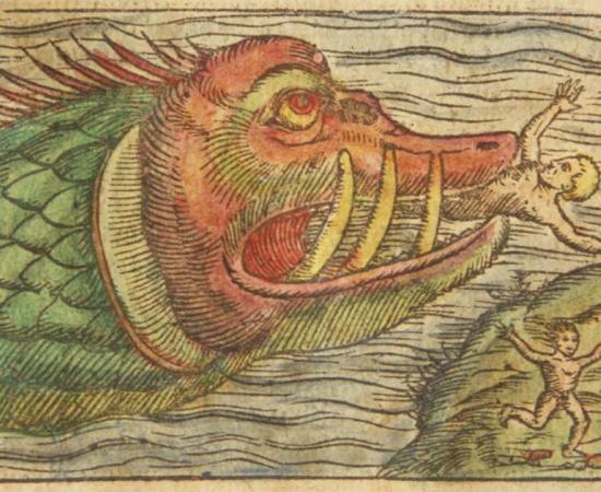 Buried in silt in the hull of the Gribshunden shipwreck, archaeologists have now discovered a barrel containing the skeleton of what appears to be an ancient sea monster measuring two meters long. Source: Reuseableart