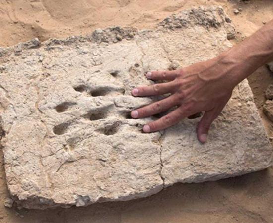 The ancient fingerprints of a worker who helped build a wall in ancient Al Ain. Source: Department of Culture and Tourism - Abu Dhabi / Fair Use.