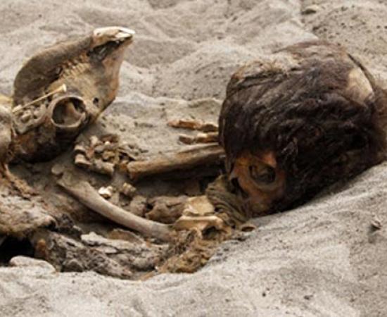 Ancient ritual sacrifice of children and llamas unearthed in PeruAncient ritual sacrifice of children and llamas unearthed in Peru