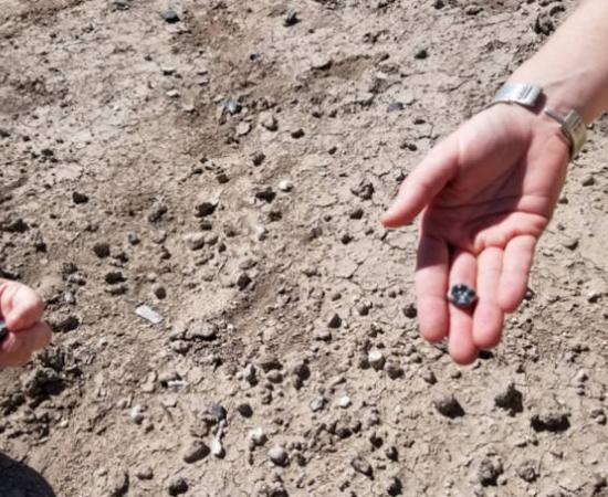 The 2.6 million year old Australopithecus teeth found in Ledi-Geraru, Ethiopia