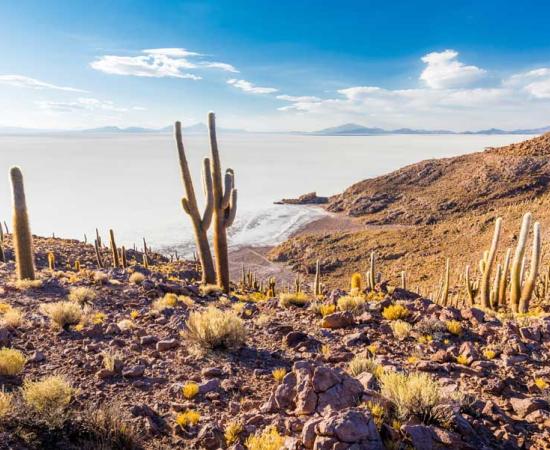 The Salar de Uyuni landscape in Bolivia. Source: subbotsky / Adobe Stock 