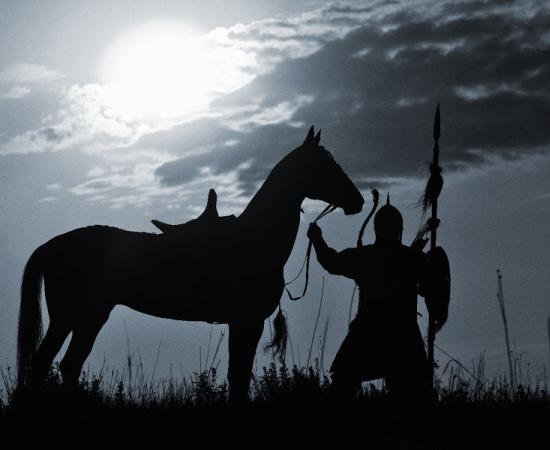 The Andronovo were skilled horse breeders. Source: Arthorse / Adobe Stock.