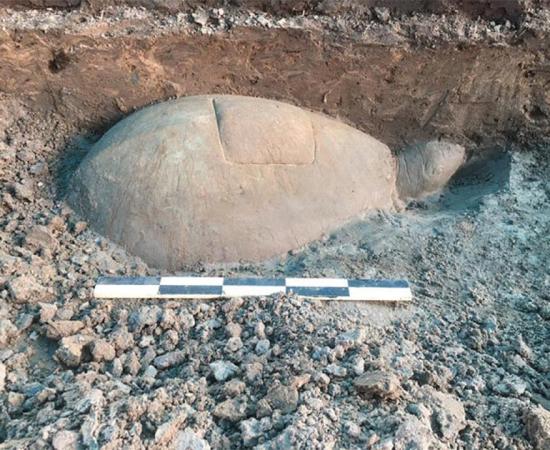 The rare turtle statue was found in the middle of an Angkor reservoir in Cambodia. Source: Apsara Authority