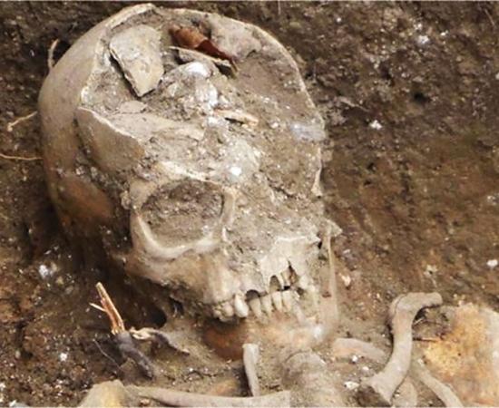 Skeleton of one of the individuals unearthed in Hildersham. 