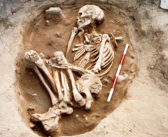 Study of 110 Bamburgh skeletons indicates Anglo-Saxon enlightenment. Source: Bamburgh Bones