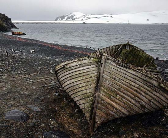 Journey to remote Antarctica aboard the Sea Adventurer.