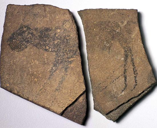 Apollo 11 Cave Stones, Namibia