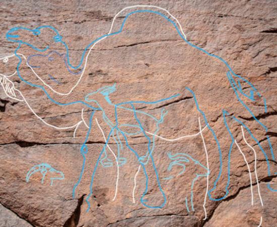 Images of camels highlighted on the rock art site found in Nefud Desert in Saudi Arabia.	