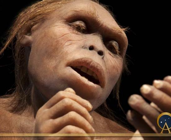 Australopithecus Afarensis (procy_ab / Adobe Stock)