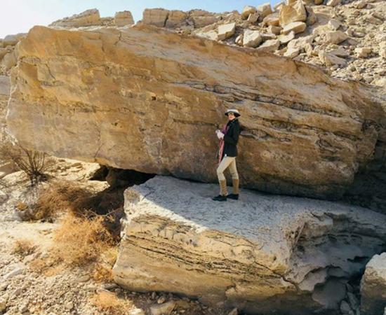Archaeologists have found 3,500-year-old rock art depicting bulls, donkeys and sheep in the Eastern Desert.