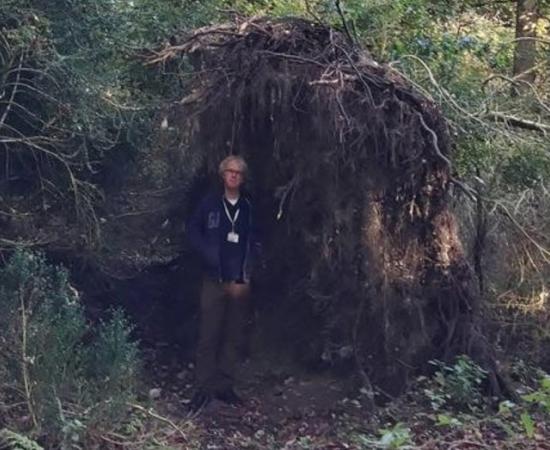 Archaeologist David Jacques demonstrates how a tree root system could function as a wall for Stone Age people.