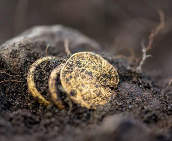 The gold coin and rings recently unearthed at Sandby Borg. 