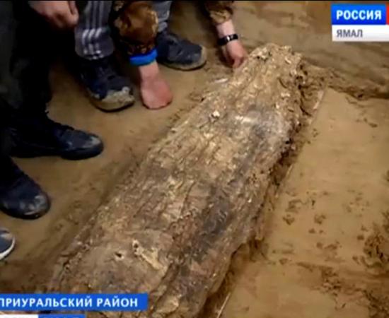 Ancient mummy unearthed from lost medieval civilization near Arctic