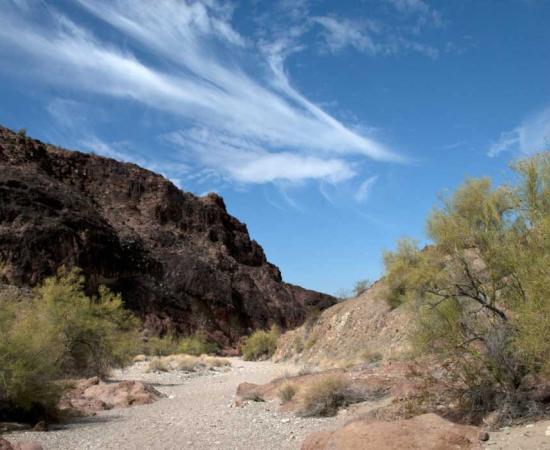 Ancient Trail in Arizona State Park 