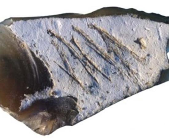 Engraving found in Crimean cave on flint flake from Kiik-Koba layer IV. 