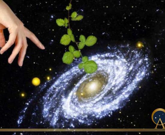 Panspermia theory argues that life came to Earth from elsewhere in our galaxy or even further away.(Dmitry / Adobe Stock)