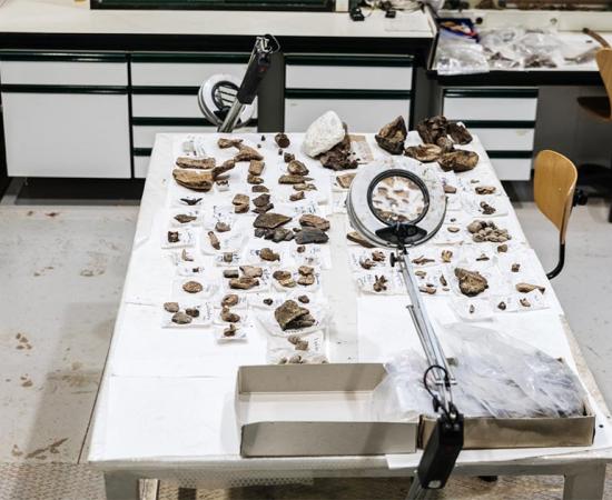 Working tables of palaeontologists in a science museum, Spain.        Source: Joaquin Corbalan / Adobe Stock