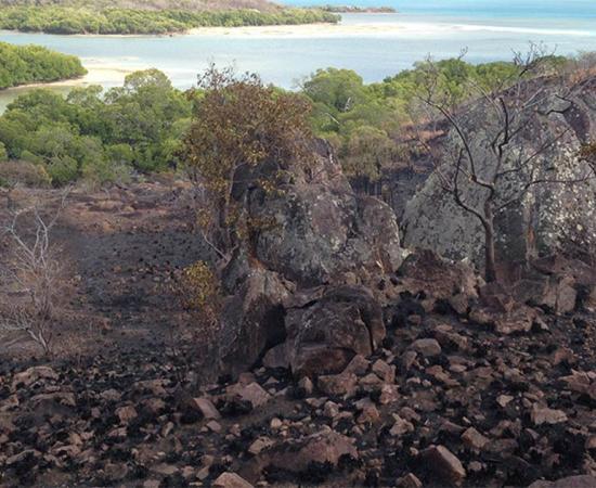 Ancient banana cultivation site at Wagadagam, Mabuyag.   Source: Australian National University