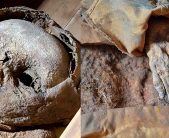 Detail of the Austrian child mummy's face and left hand on the abdomen. Source: Frontiers in Medicine