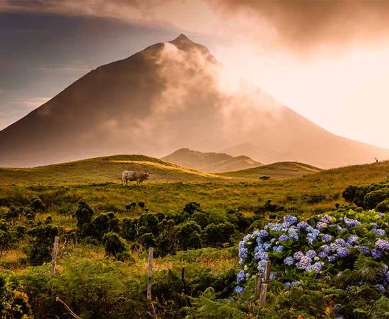 Are the Misty Peaks of the Azores Remnants of the Legendary Atlantis?