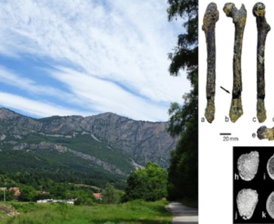 Scenery at Zgorigrad Village, Vrachanski Balkan National Park, Bulgaria. Right; images of the femur.