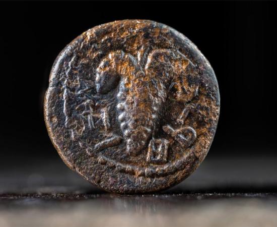 Bar-Kokhba Rebellion coin inscribed with the words "Return to Israel" with a cluster of grapes in the center. Source: (Koby Harati/City of David/Israel Antiquities Authority)