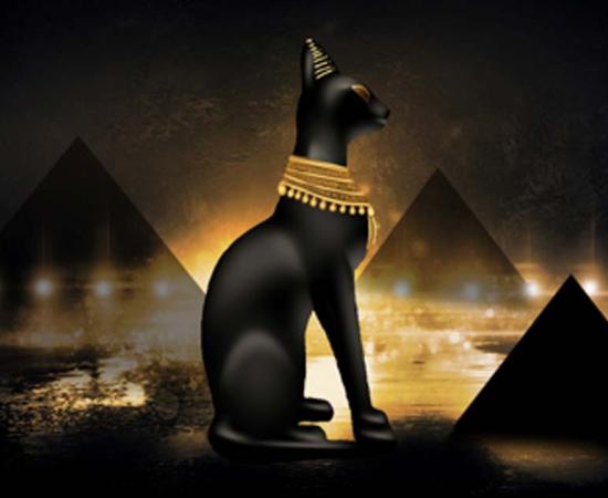 Goddess of Egypt, Bastet. Credit: MiaStendal / Adobe Stock