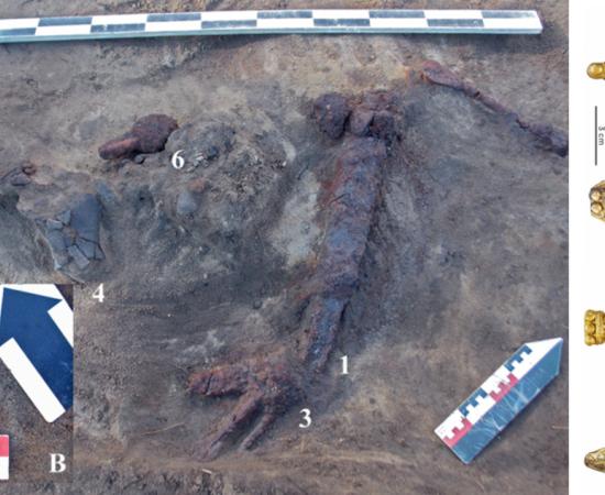 Grave №726 at the Putilovo-2 burial site. and, right, Elements of the horse bridle from burial №X-22