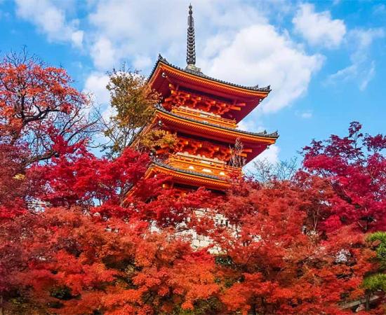 The Kiyomizu-dera Temple in autumn.	Source:  idmanjoe/Adobe Stock