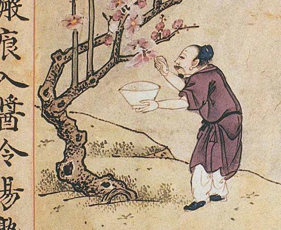 The Ben Cao Gang Mu (Compendium of Material Medica) is a 16th-century collection of medical knowledge. Source: Public domain