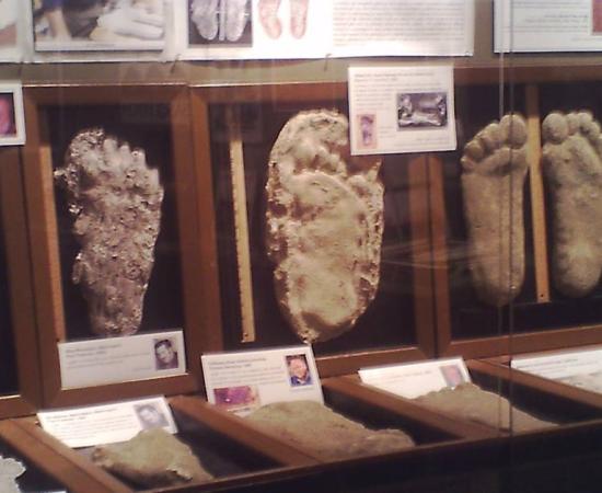 Bigfoot Casts by YA-YA2001