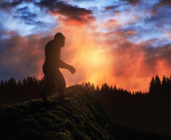 Does Bigfoot really exist?     Source: ginettigino / Adobe Stock.