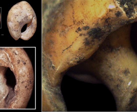 The Bizmoune Cave sea snail shell beads have been dated to at least 142,000 years ago, according to the latest research study, making them the oldest jewelry 