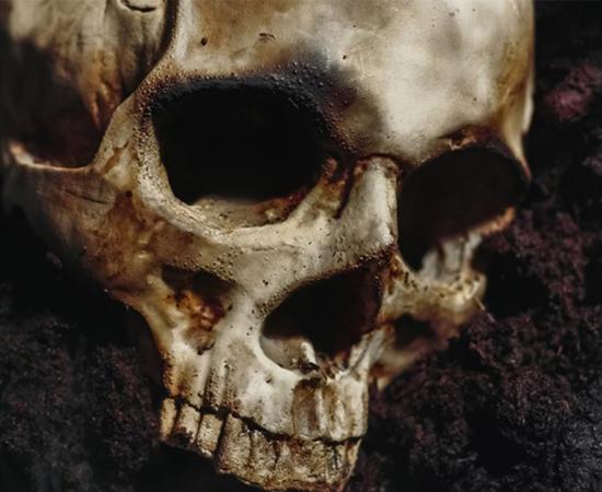 Mass grave of victims of the Black Death discovered at Thornton Abbey. Source: Sved Oliver / Adobe Stock.