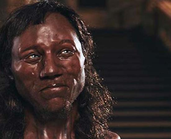 Close up of the model of Cheddar Man rendered by Kennis & Kennis Reconstructions