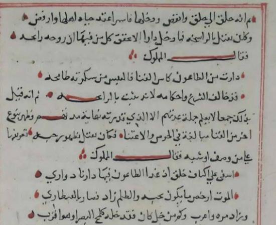 A page from Ibn Abi Hajala's (d. 1375) Dafʿ al-niqma bi-l-ṣalāh ʿalā nabī al-raḥma ("Repelling the Trial by Sending Blessings Upon the Prophet of Mercy").