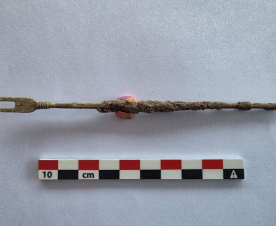 The specialized bladder stone removal tool found at Heraclea Sintica