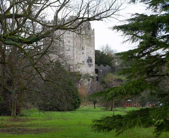 Blarney Castle. 