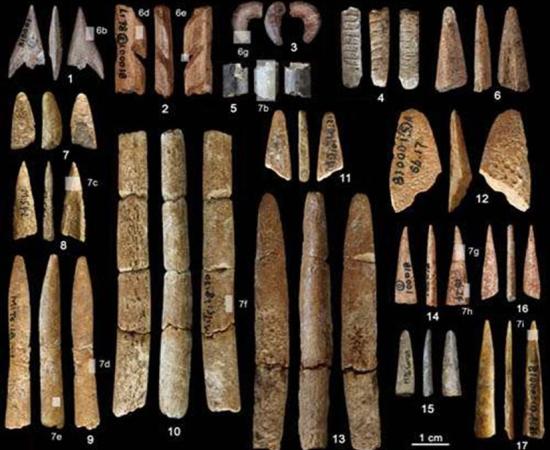 Bone artifacts recovered from the Ma’anshan site.
