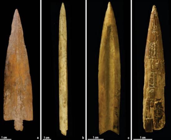 Bone arrowheads from prehistoric Argentina revealed sophisticated craft production 