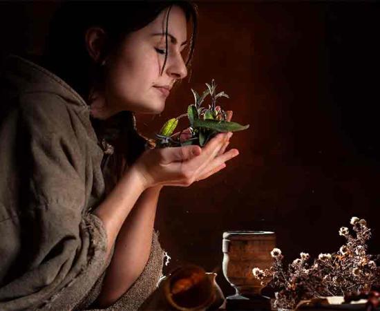 Ancient Botanical medicine involved smell and taste. Source: Thomas Mucha/Adobe Stock