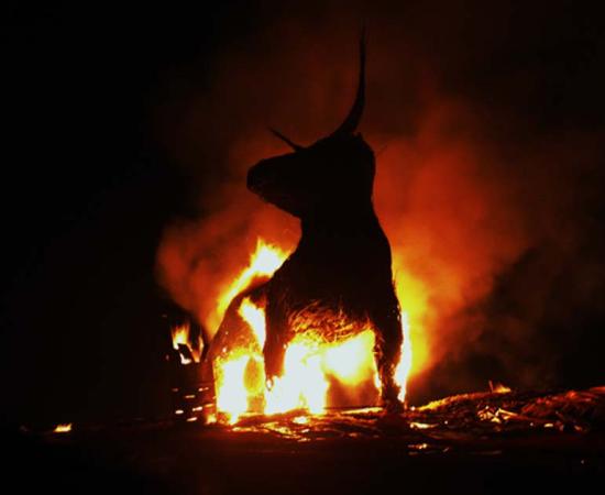 The Bull by Stuart Yeates.